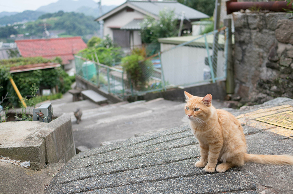 訪問介護cilbingo.com