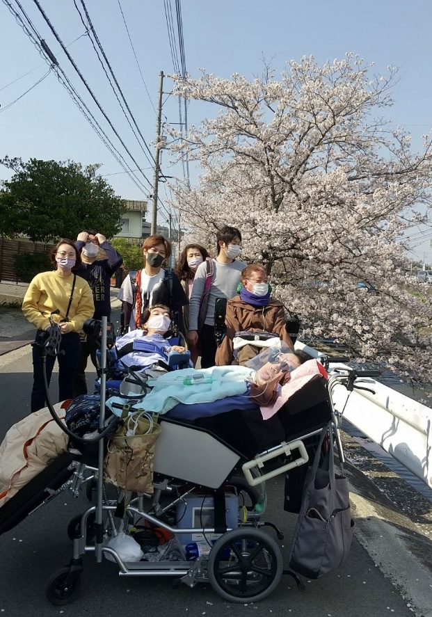 写真⑪(お花見)